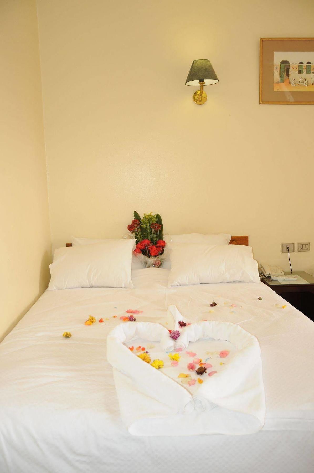Nile Hotel Asszuán Kültér fotó